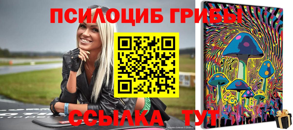 Псилоцибиновые грибы Psilocybine cubensis Минеральные Воды