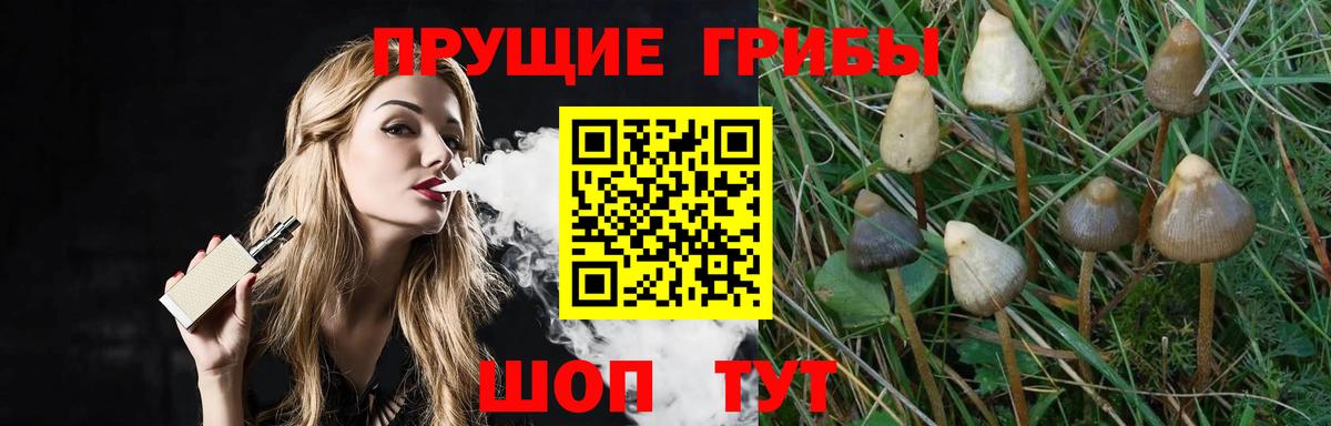 Минеральные Воды  Псилоцибиновые грибы MAGIC MUSHROOMS  Вход с VPN 